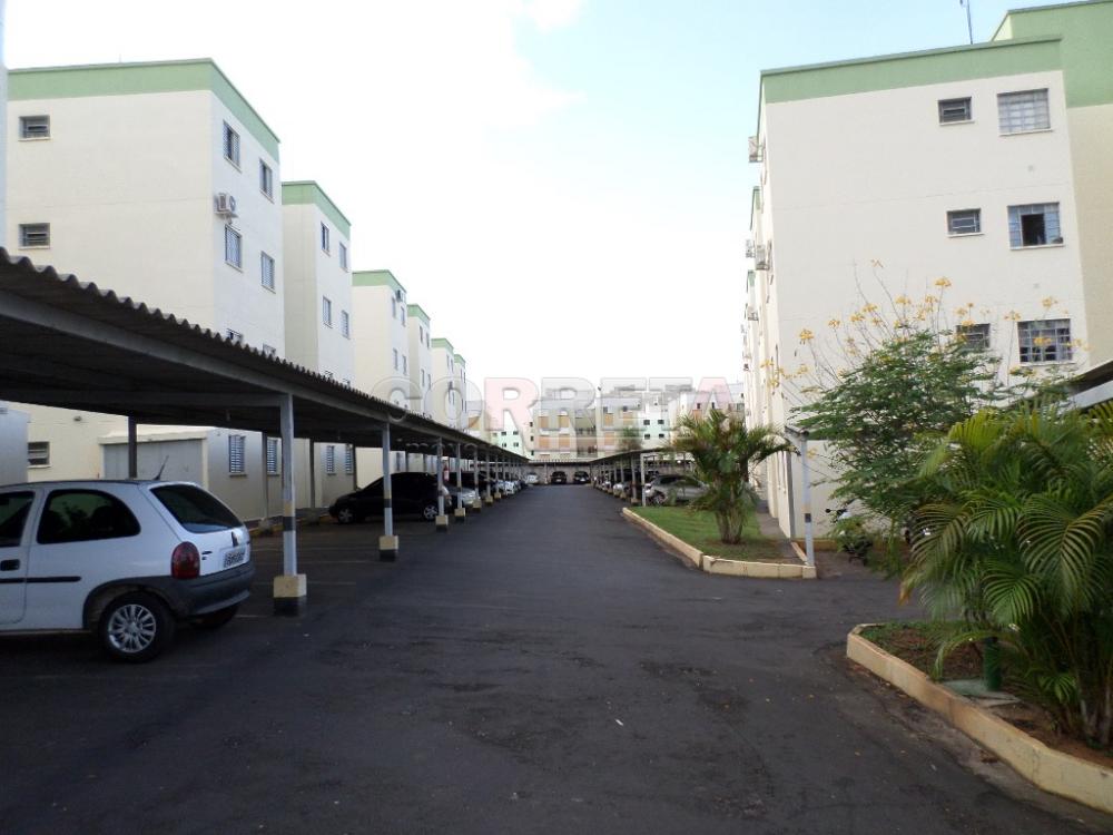 Alugar Apartamento / Padrão em Araçatuba R$ 1.000,00 - Foto 8