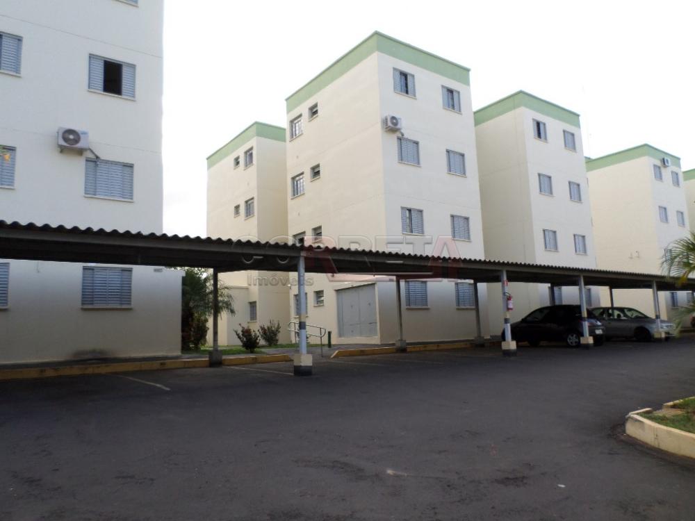 Alugar Apartamento / Padrão em Araçatuba R$ 690,00 - Foto 9