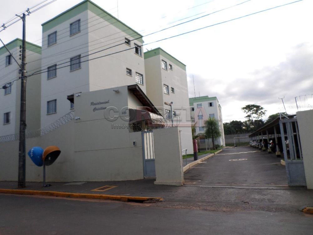 Alugar Apartamento / Padrão em Araçatuba R$ 690,00 - Foto 11