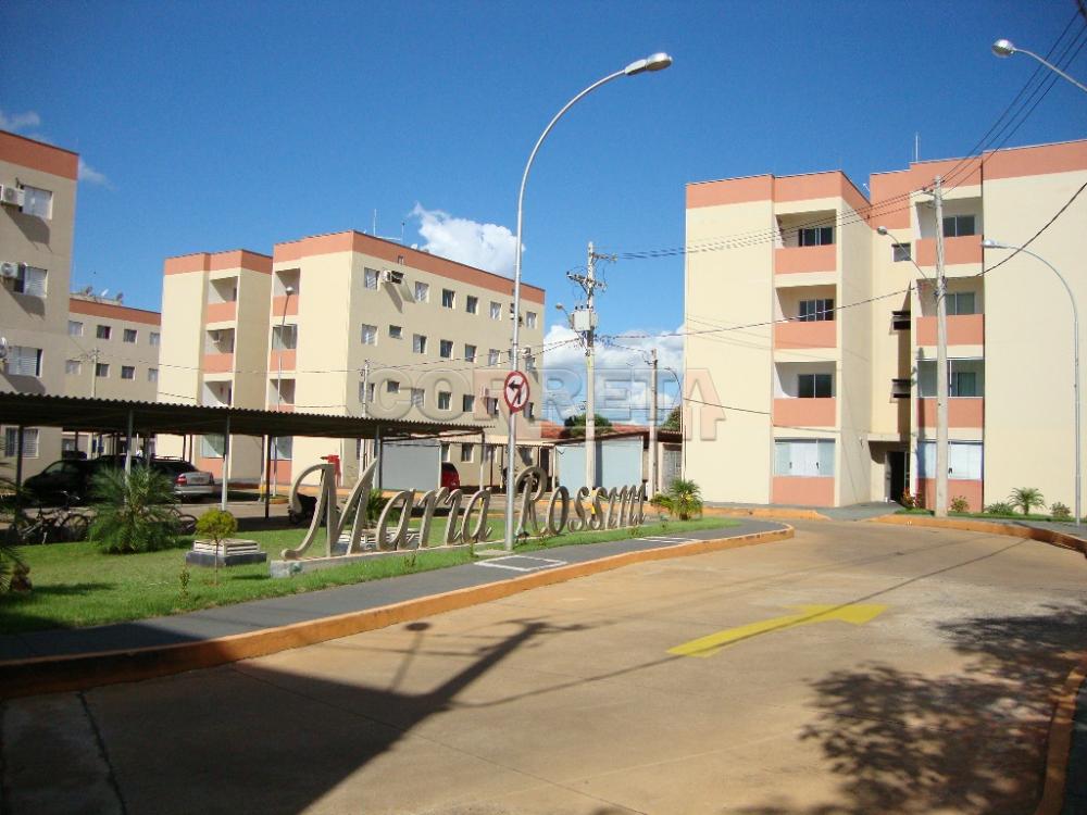 Alugar Apartamento / Padrão em Araçatuba R$ 600,00 - Foto 6