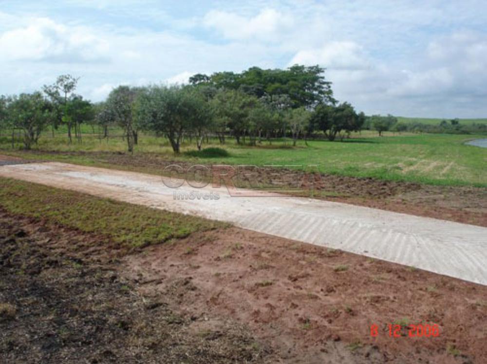 Comprar Rural / Rancho Condomínio em Araçatuba R$ 610.000,00 - Foto 57
