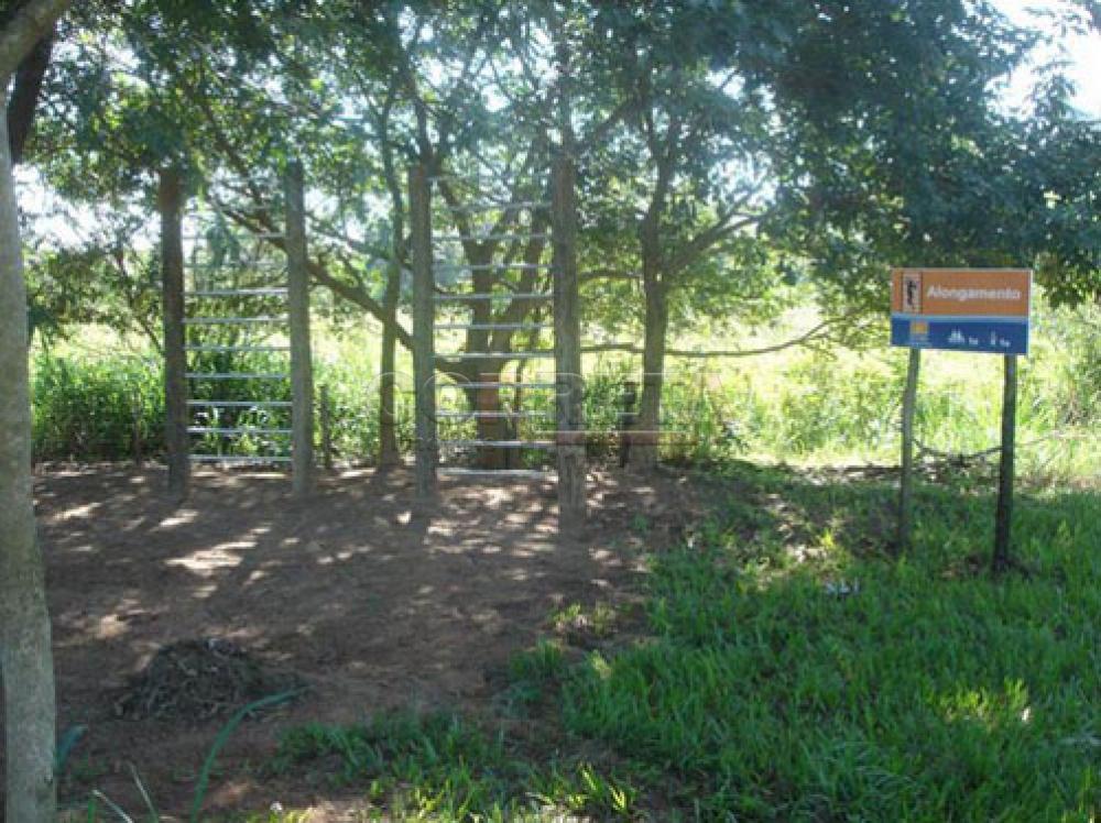 Comprar Rural / Rancho Condomínio em Araçatuba R$ 610.000,00 - Foto 62