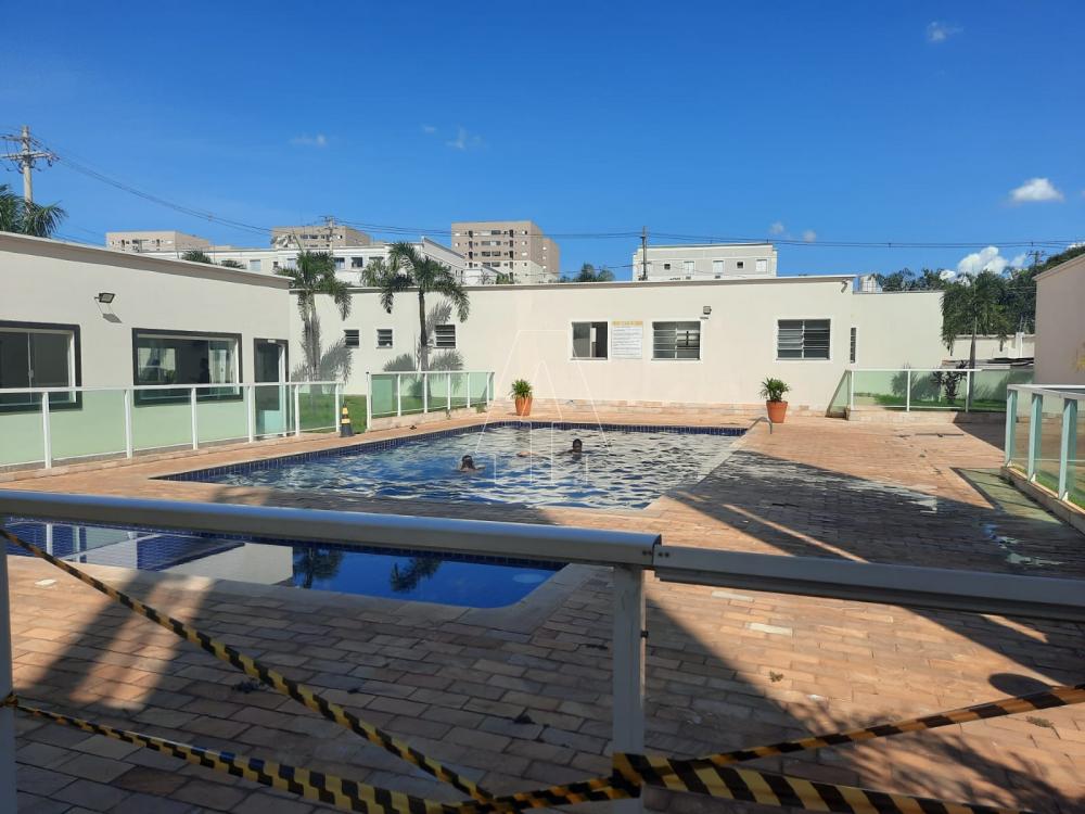 Alugar Apartamento / Padrão em Araçatuba R$ 750,00 - Foto 13