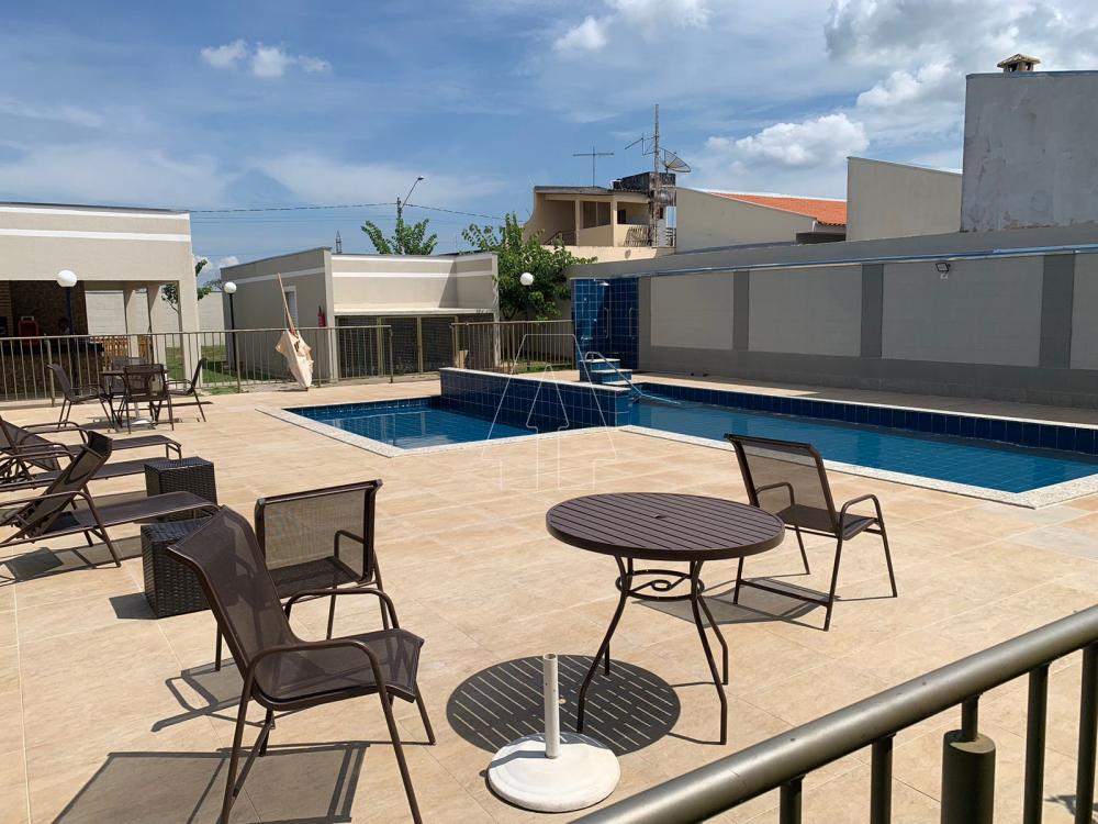 Alugar Apartamento / Padrão em Araçatuba R$ 750,00 - Foto 21