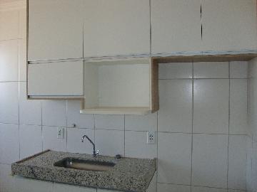 Alugar Apartamento / Padrão em Araçatuba R$ 950,00 - Foto 3