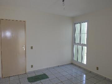 Alugar Apartamento / Padrão em Araçatuba. apenas R$ 500,00