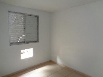 Alugar Apartamento / Padrão em Araçatuba R$ 750,00 - Foto 3