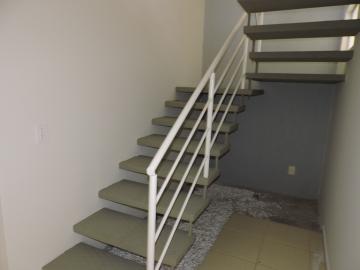 Alugar Casa / Condomínio em Araçatuba. apenas R$ 2.500,00