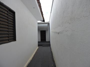 Alugar Casa / Residencial em Araçatuba. apenas R$ 700,00