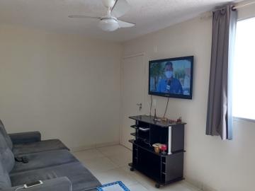 Alugar Apartamento / Padrão em Araçatuba. apenas R$ 501,00