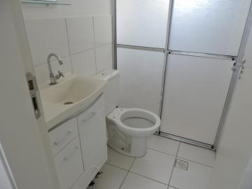 Alugar Apartamento / Padrão em Araçatuba R$ 700,00 - Foto 4