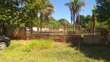 Terreno / Padrão em Araçatuba , Comprar por R$(V) 350.000,00