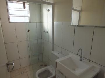 Alugar Apartamento / Padrão em Araçatuba R$ 750,00 - Foto 4