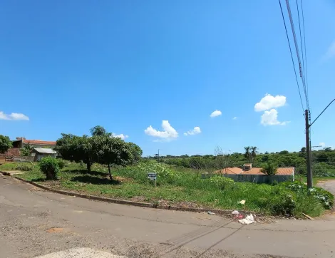 Alugar Terreno / Padrão em Araçatuba. apenas R$ 85.000,00