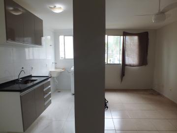 Alugar Apartamento / Padrão em Araçatuba R$ 900,00 - Foto 5