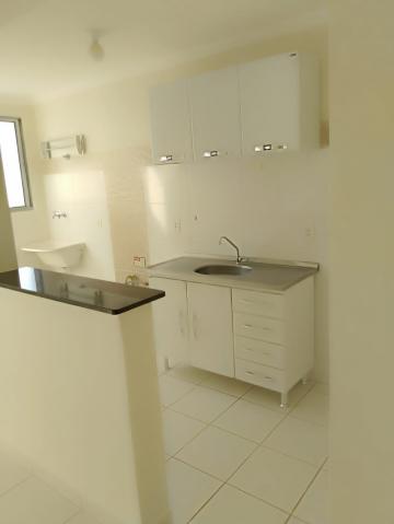 Alugar Apartamento / Padrão em Araçatuba. apenas R$ 137.900,00
