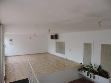 Alugar Casa / Residencial em Araçatuba. apenas R$ 1.600,00
