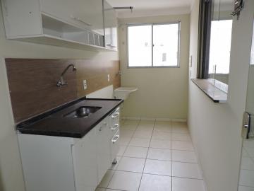 Alugar Apartamento / Padrão em Araçatuba. apenas R$ 147.000,00