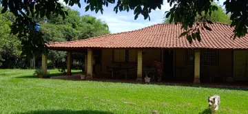 Aracatuba Conjunto Habitacional Pedro Perri Rural Venda R$8.000.000,00 3 Dormitorios 1 Vaga Area do terreno 25000.00m2 Area construida 260.00m2