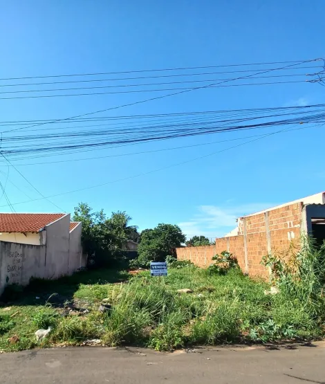 Terreno / Padrão em Araçatuba , Comprar por R$(V) 56.000,00
