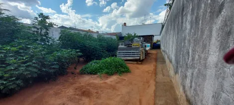 Alugar Terreno / Padrão em Araçatuba. apenas R$ 85.000,00